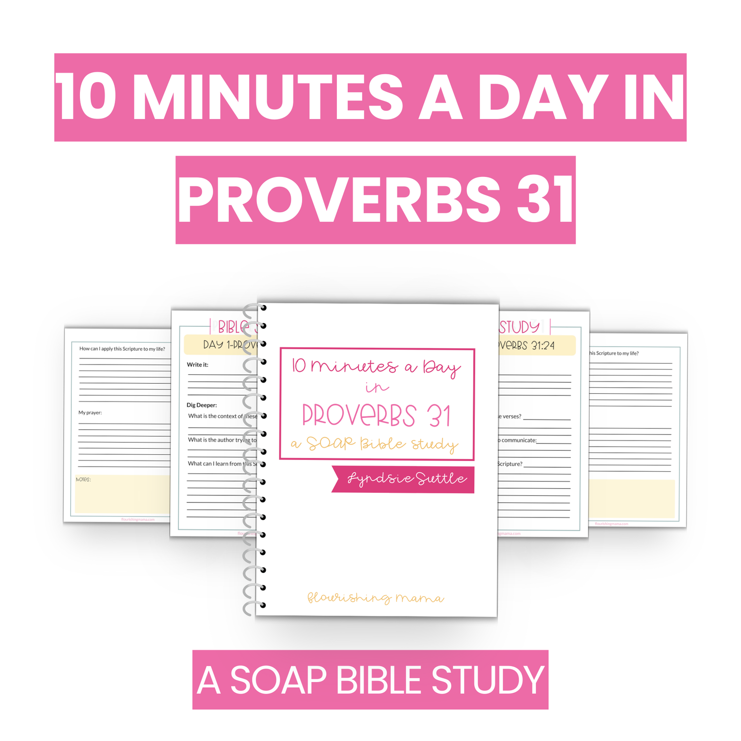 Proverbs 31 Daily Bible Study--SOAP Bible Study