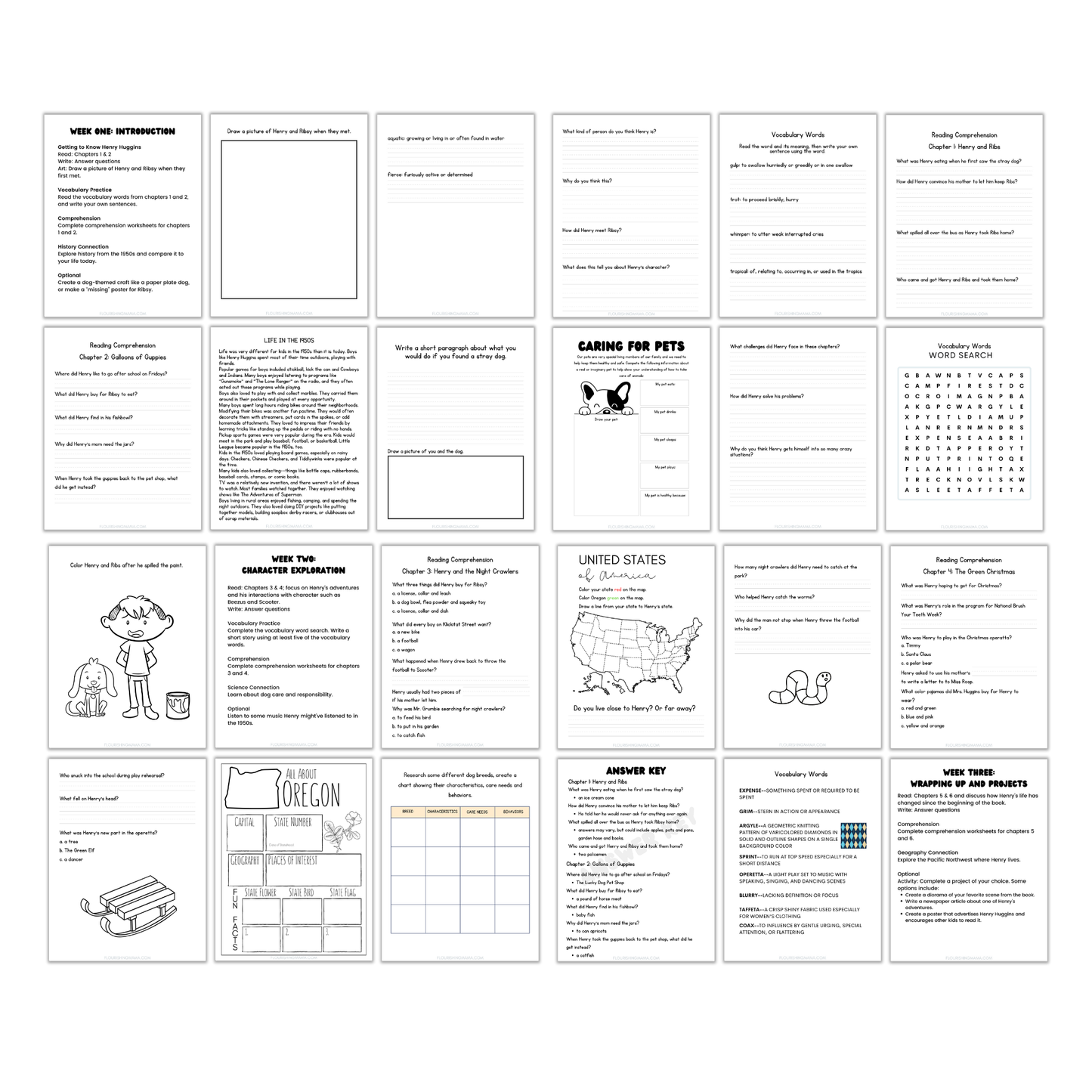 Henry Huggins Unit Study