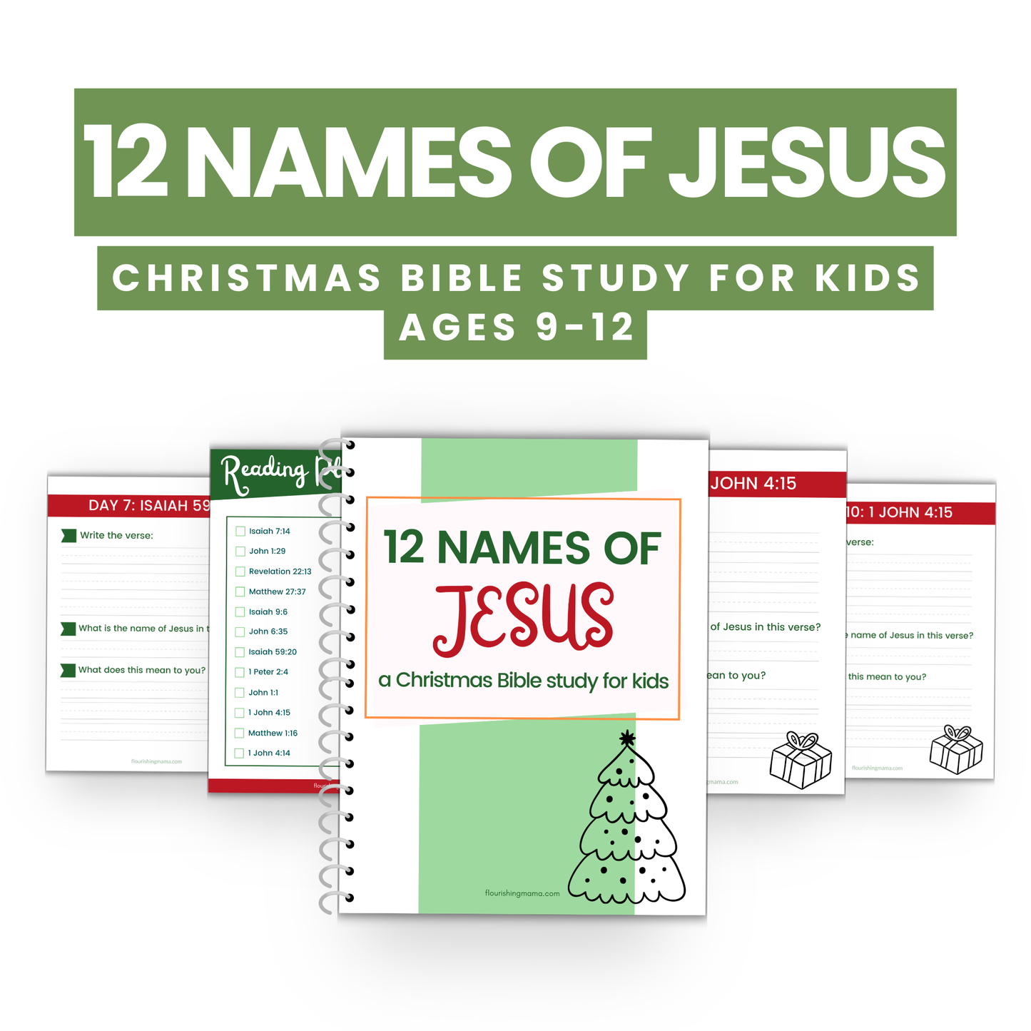 12 Names of Jesus: A Christmas Bible Study for Kids