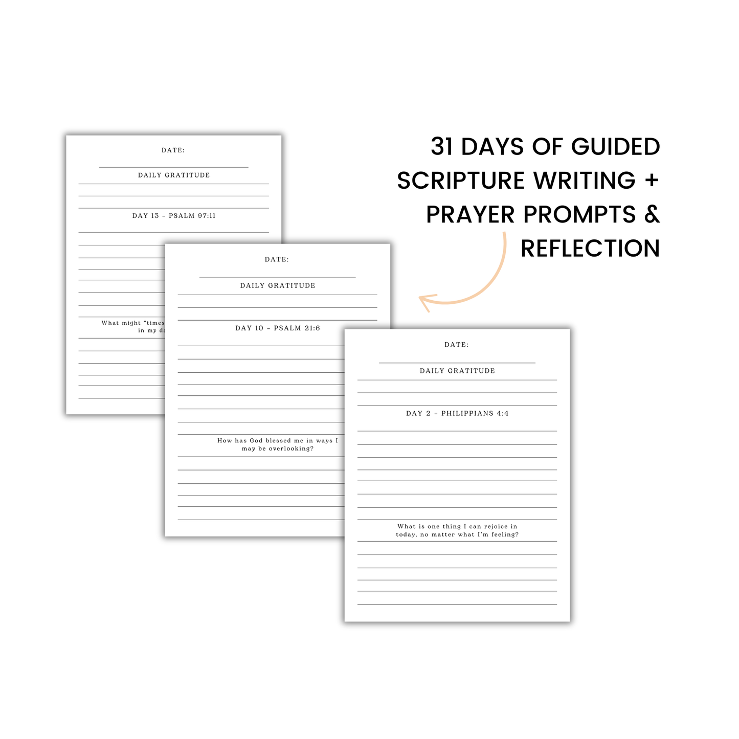 Joy in the Journey Bible Study Bundle